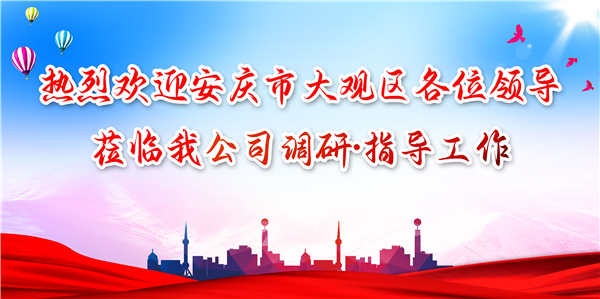 安慶市大觀(guān)區(qū)領(lǐng)導(dǎo)蒞臨我公司調(diào)研工作，為發(fā)展注入新動(dòng)力